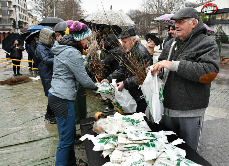Хасковлии се наредиха на опашка в дъжда за безплатни дръвчета
