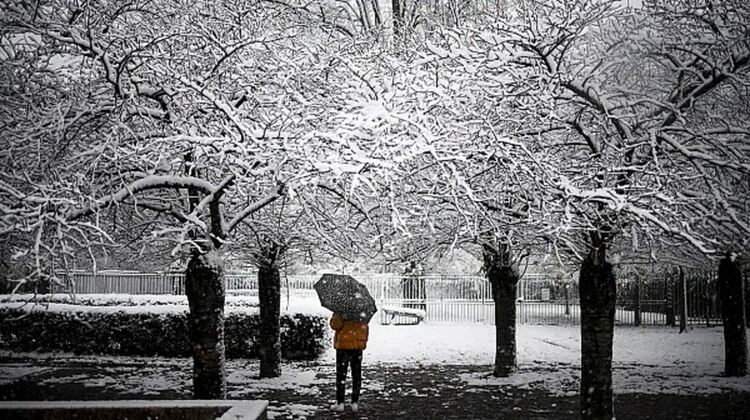 Дъждове, които ще преминат в снеговалеж, в цялата страна. Внимавайте за поледици!