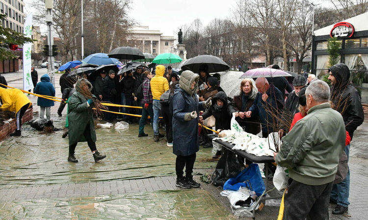 Хасковлии се наредиха на опашка в дъжда за безплатни дръвчета