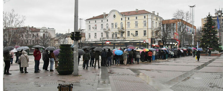 Хасковлии се наредиха на опашка в дъжда за безплатни дръвчета