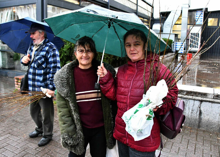 Хасковлии се наредиха на опашка в дъжда за безплатни дръвчета