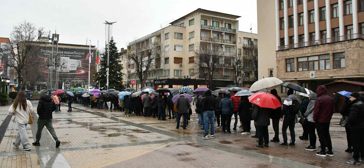 Хасковлии се наредиха на опашка в дъжда за безплатни дръвчета