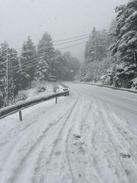 Снимка Светлльо Д.:  В района на Доспат