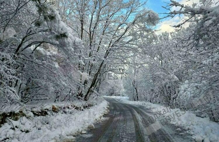 Жълт код за студ в половината страна