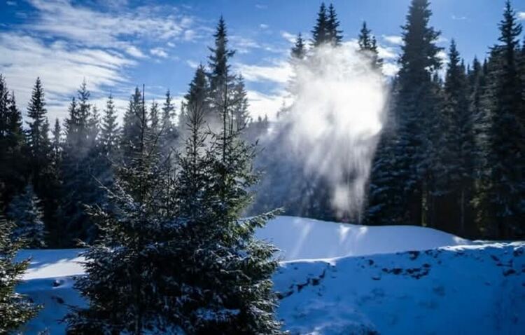 Поредно мразовито утро в Смолянско: Най-студено е било на Рожен &ndash; минус 14,8 градуса