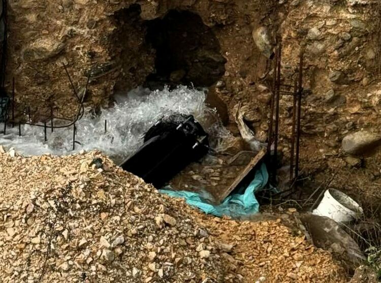 снимката е илюстративна