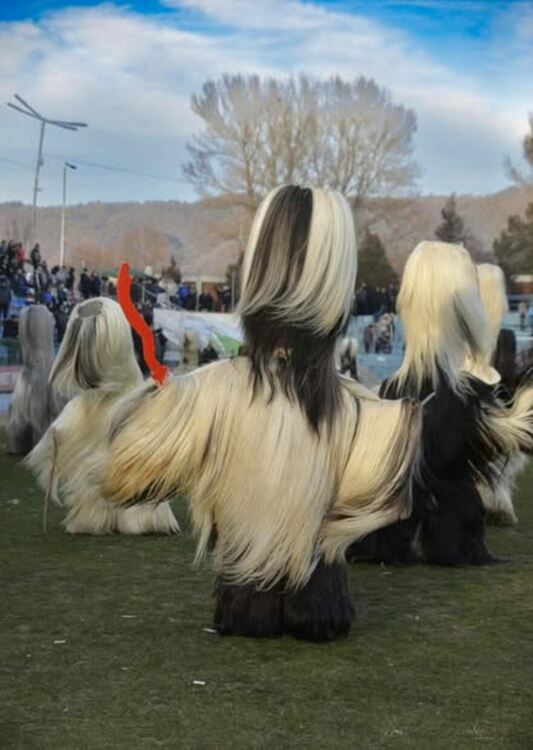 Групи от Земен, Косача и Крупник ще гостуват на "Тайнството на Сурва" в Радомир
