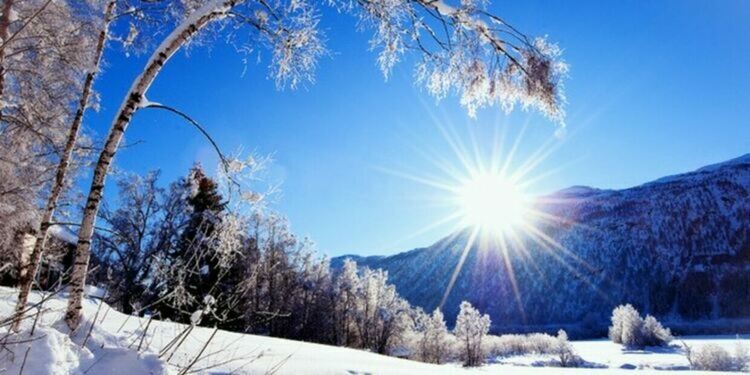 Снимка: интернет