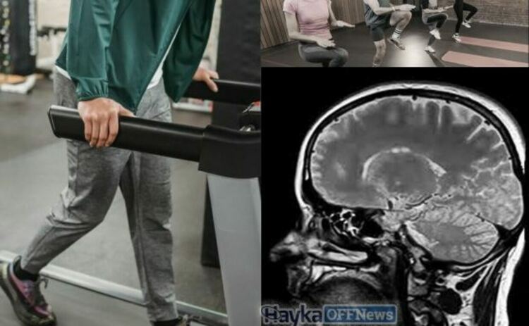 Възрастни хора, които са спортували по 150 минути седмично в продължение на 12 месеца, се оказва, че имат мозъци, които са изглеждали седем месеца по-млади на структурни сканирания.