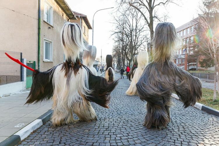 "Тайнството на Сурва" &ndash; преживяване, което се усеща със сърцето