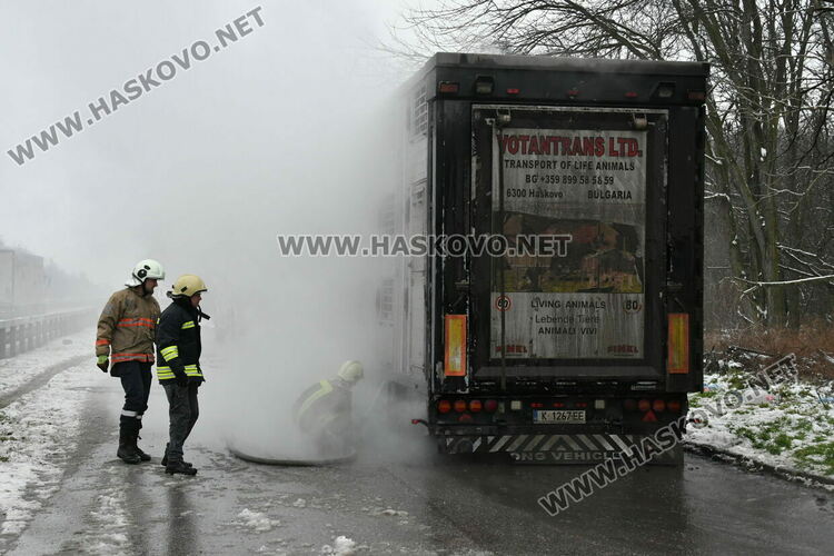 Тир с прасета се запали по пътя между Хасково и Димитровград