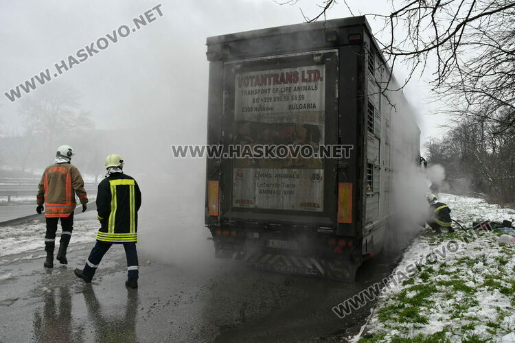 Тир с прасета се запали по пътя между Хасково и Димитровград