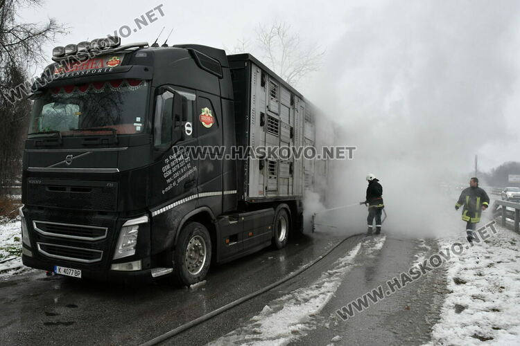 Тир с прасета се запали по пътя между Хасково и Димитровград
