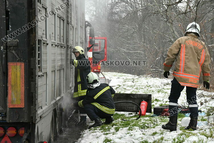 Тир с прасета се запали по пътя между Хасково и Димитровград