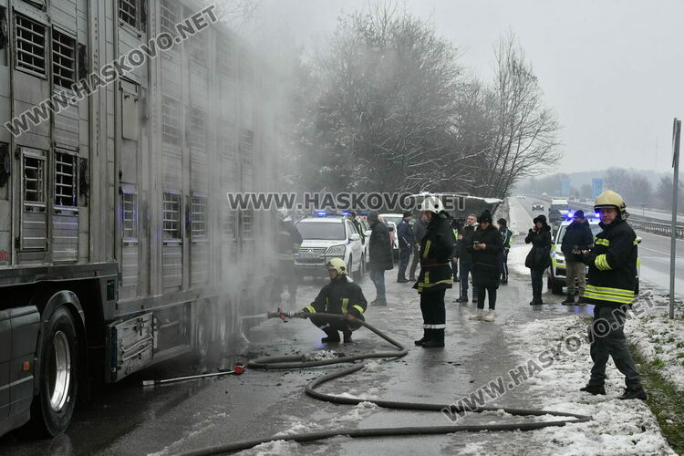 Тир с прасета се запали по пътя между Хасково и Димитровград