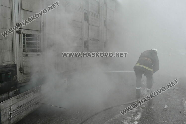 Тир с прасета се запали по пътя между Хасково и Димитровград