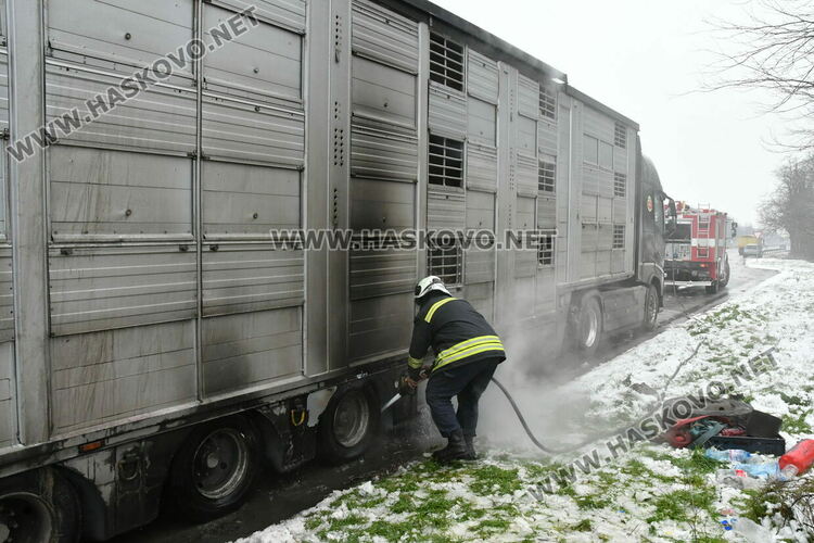 Тир с прасета се запали по пътя между Хасково и Димитровград