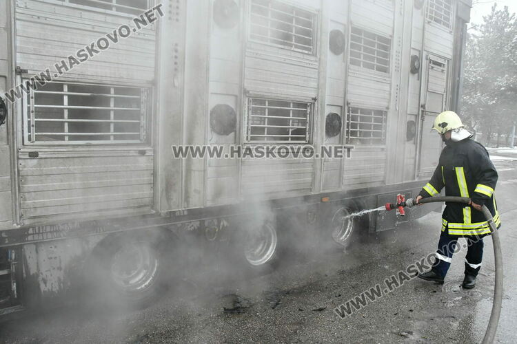 Тир с прасета се запали по пътя между Хасково и Димитровград