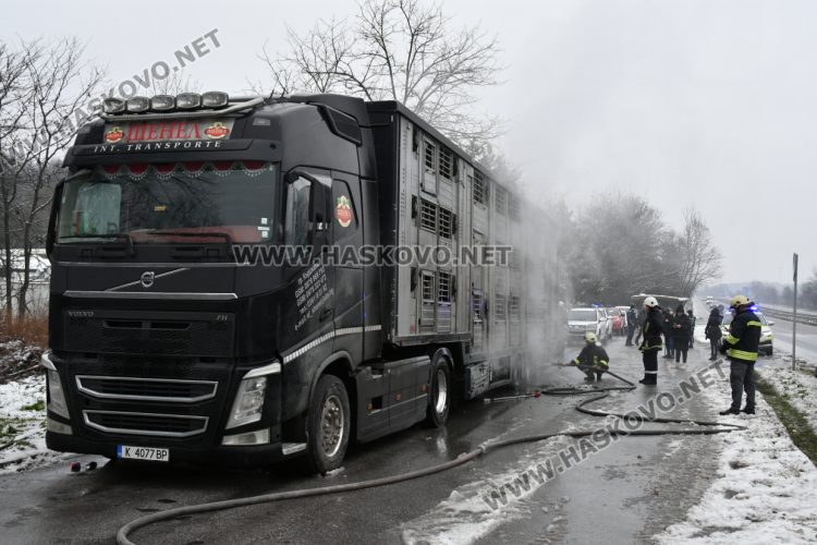 Тир с прасета се запали по пътя между Хасково и Димитровград