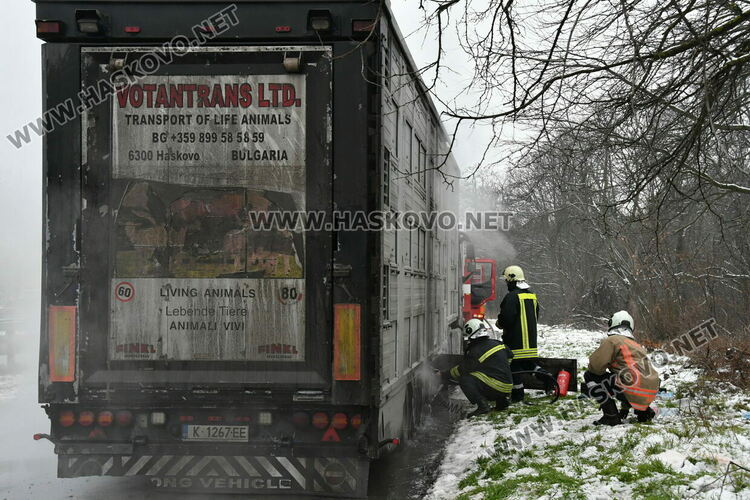 Тир с прасета се запали по пътя между Хасково и Димитровград