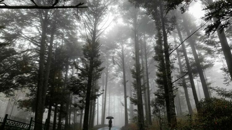 Източник: EPA/БГНЕС