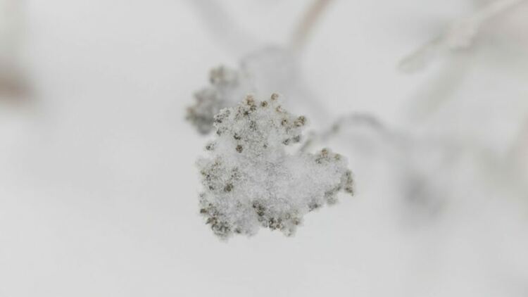 Източник: ЕРА/БГНЕС