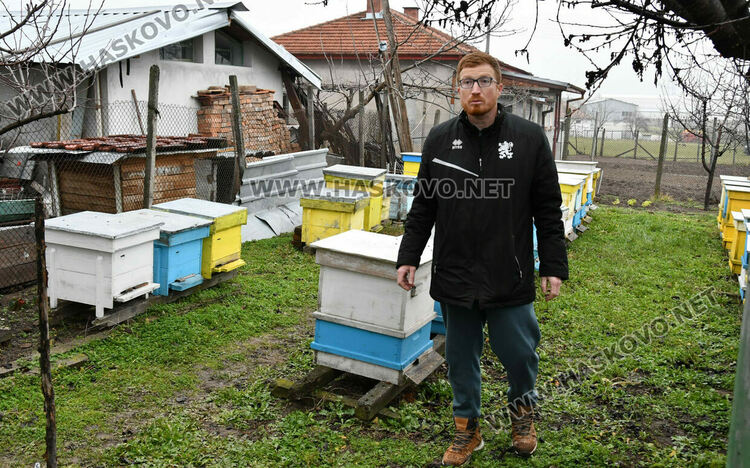 Пчеларите в Хасковско очакват добри добиви тази година