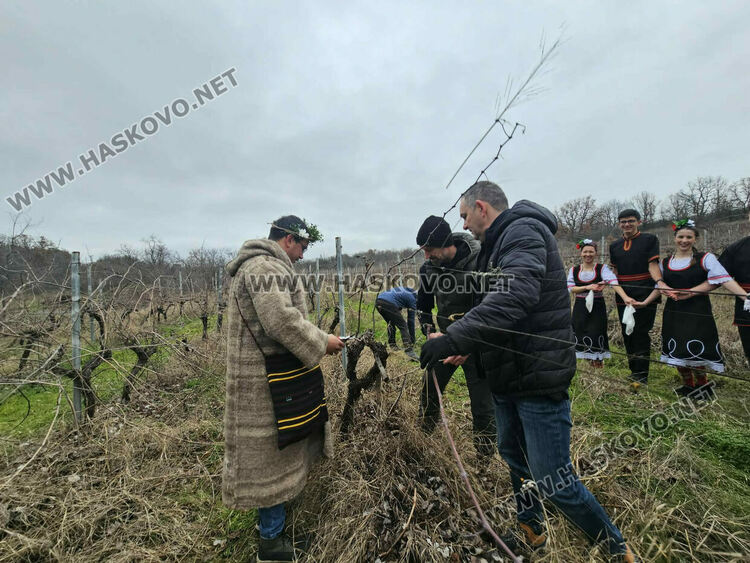 Ритуално заразяха лозите в масивите на &bdquo;Малката звезда&ldquo;