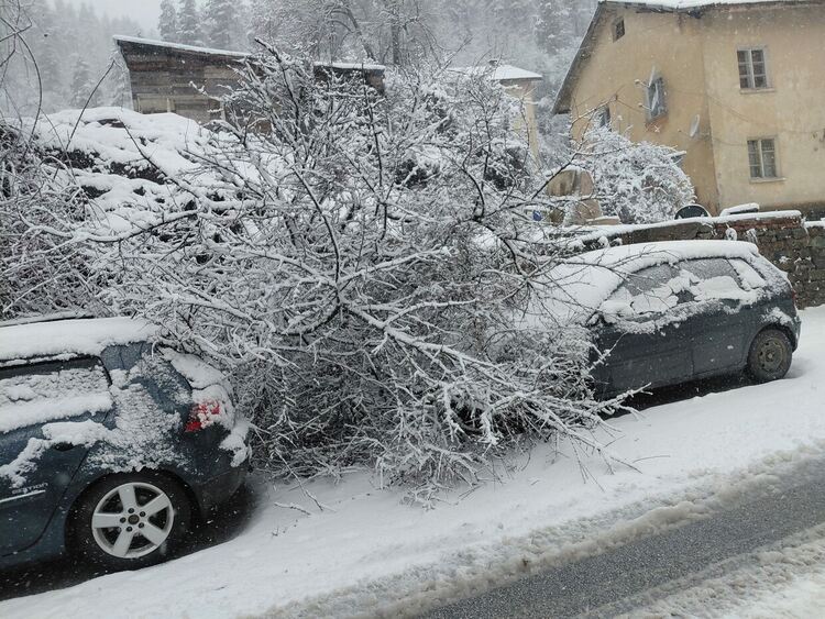 Ограничават движението на тежкотоварни автомобили през три родопски прохода заради снеговалеж ОБНОВЕНА Само с вериги през проходите,има много закъсали и леки катастрофи
