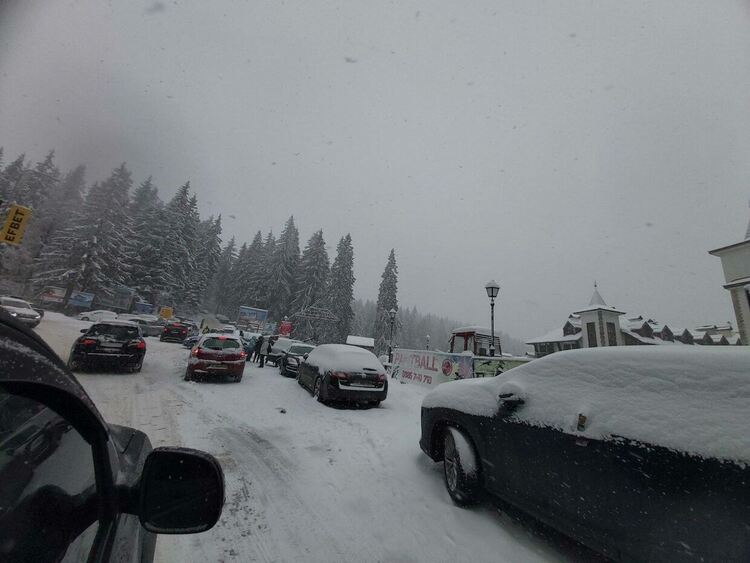 Ограничават движението на тежкотоварни автомобили през три родопски прохода заради снеговалеж ОБНОВЕНА Само с вериги през проходите,има много закъсали и леки катастрофи