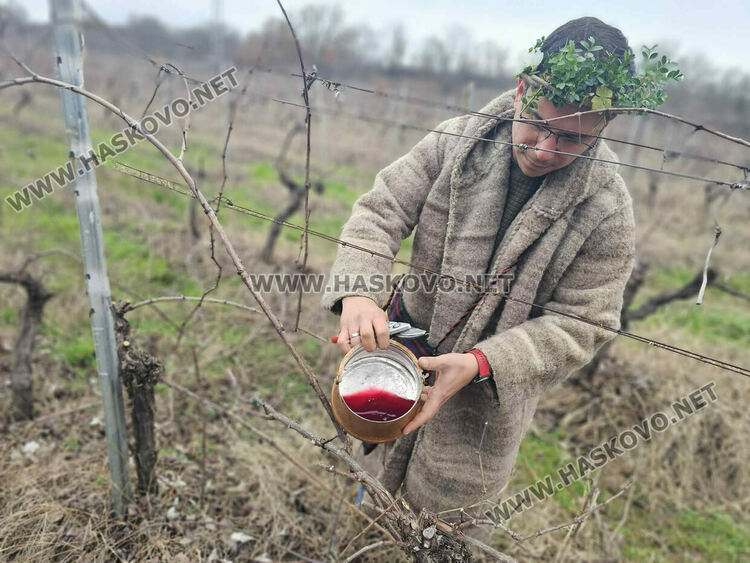 Свилен Георгиев