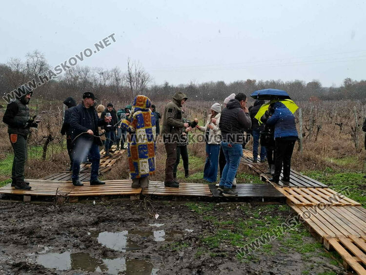 Ритуално заразяха лозите в масивите на &bdquo;Малката звезда&ldquo;