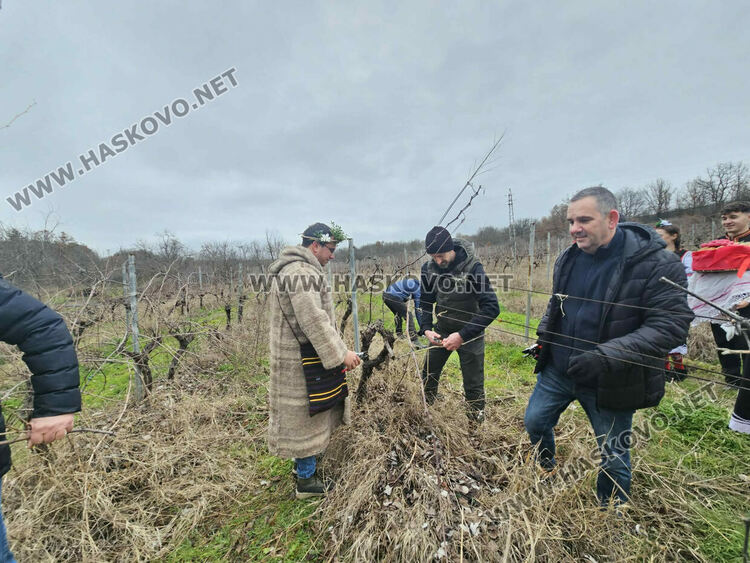 Ритуално заразяха лозите в масивите на &bdquo;Малката звезда&ldquo;