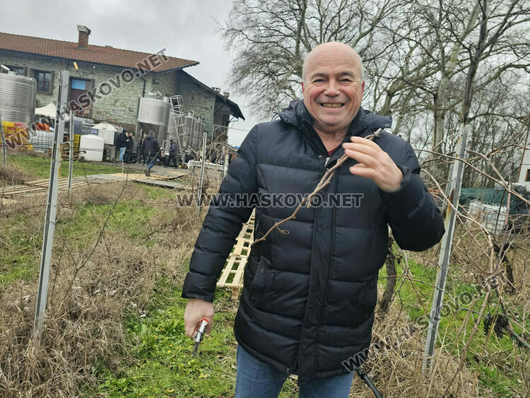 Ритуално заразяха лозите в масивите на &bdquo;Малката звезда&ldquo;