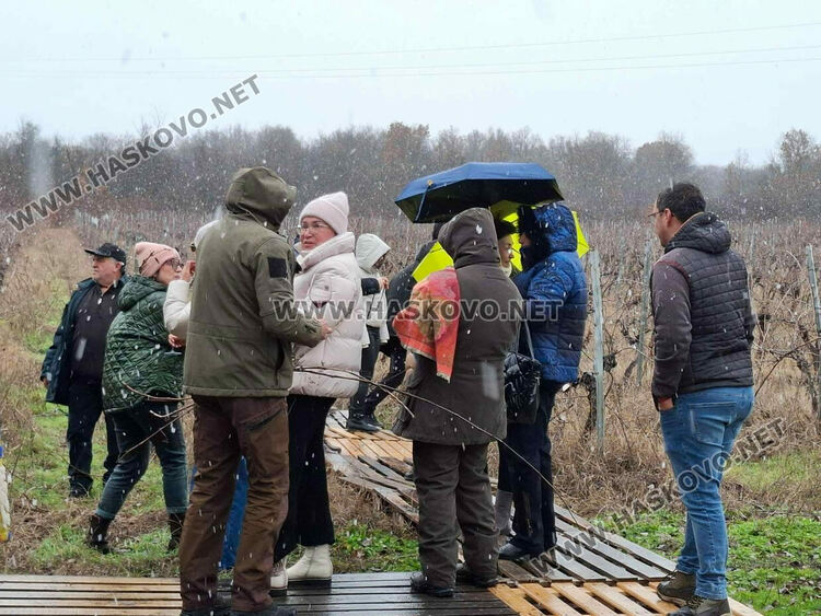 Ритуално заразяха лозите в масивите на &bdquo;Малката звезда&ldquo;