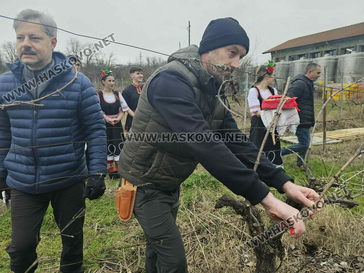 Ритуално заразяха лозите в масивите на &bdquo;Малката звезда&ldquo;