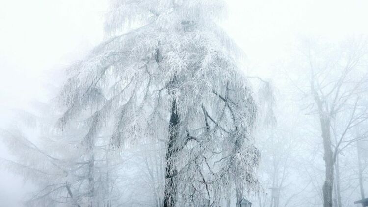 Източник: EPA/БГНЕС