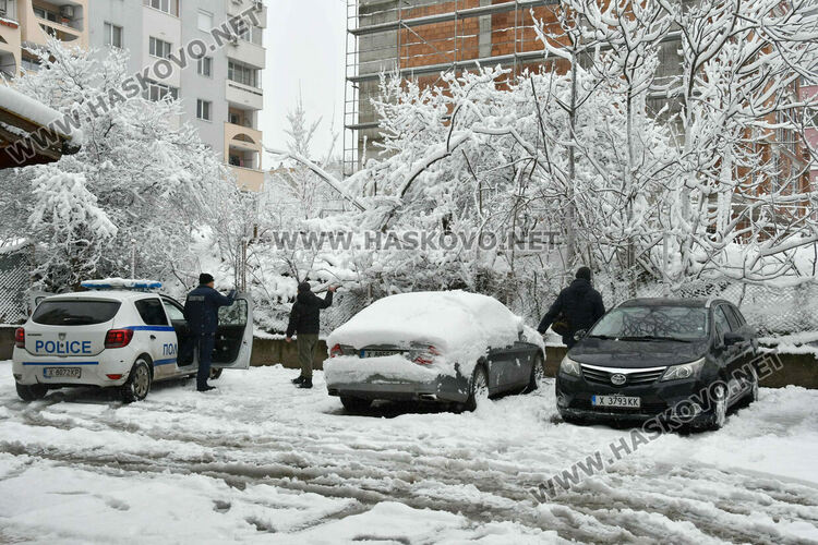 При мокрия сняг саморасло дърво падна върху кола в Хасково