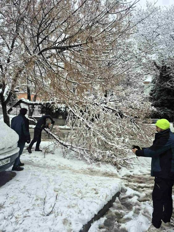 Паднали и надвиснали клони в Асеновград след продължилия снеговалеж
