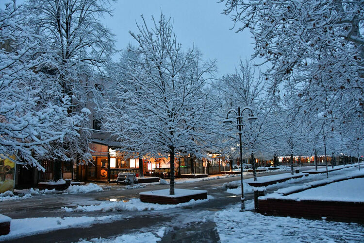 Облачно и студено