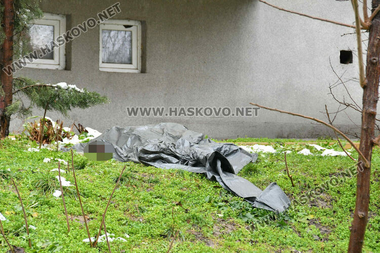 Труп стресира жители на хасковския квартал &bdquo;Орфей&ldquo;