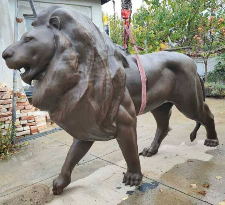 Снимка: Славчо Свиленов