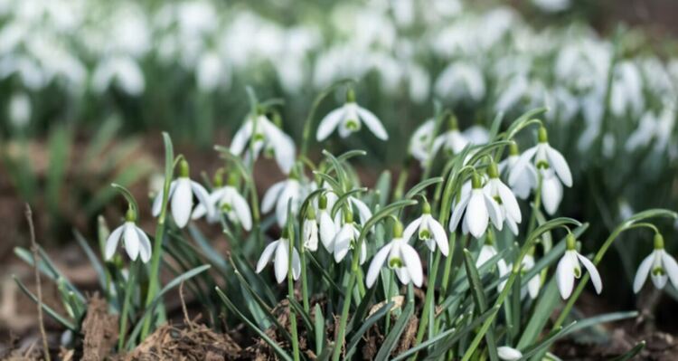 Променлива облачност ни очаква  в събота 