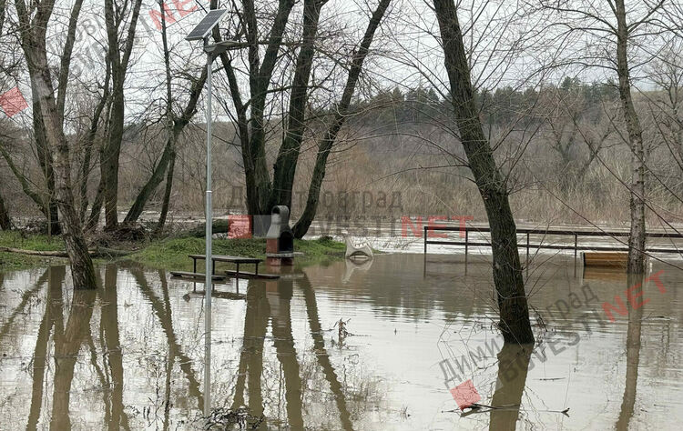парк Марица, Димитровград
