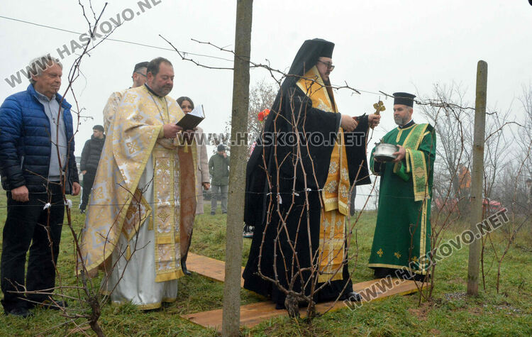 В Харманли зарязаха ритуално лозята 