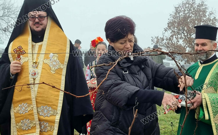 В Харманли зарязаха ритуално лозята 