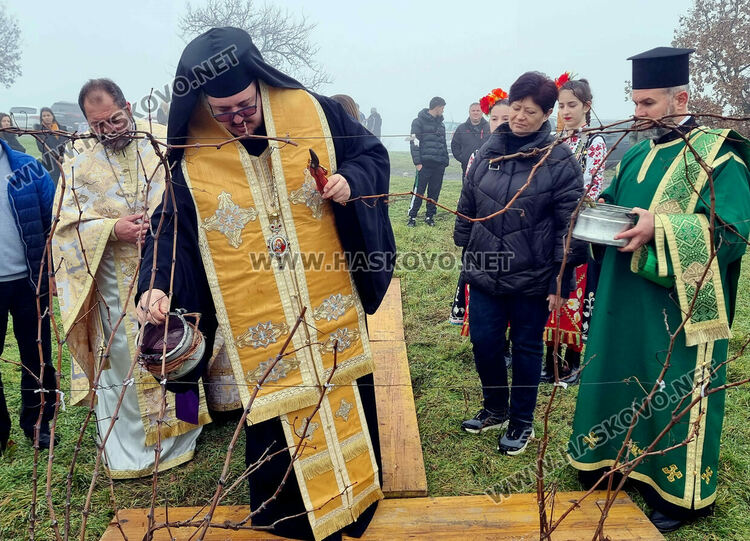 В Харманли зарязаха ритуално лозята 