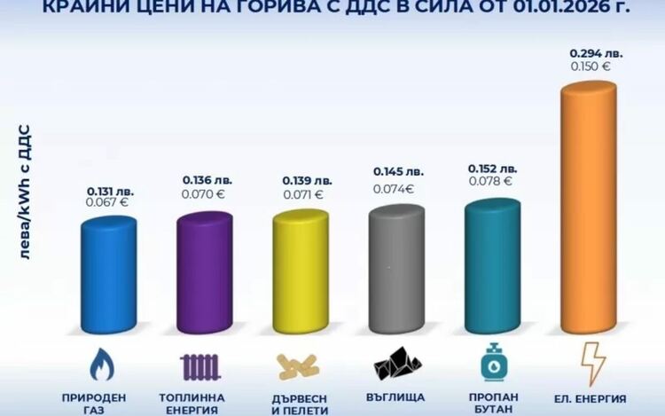 Графиката показва, че дори и субсидирана, цената на тока за бита е най-висока и че природният газ е най-евтината енергия.