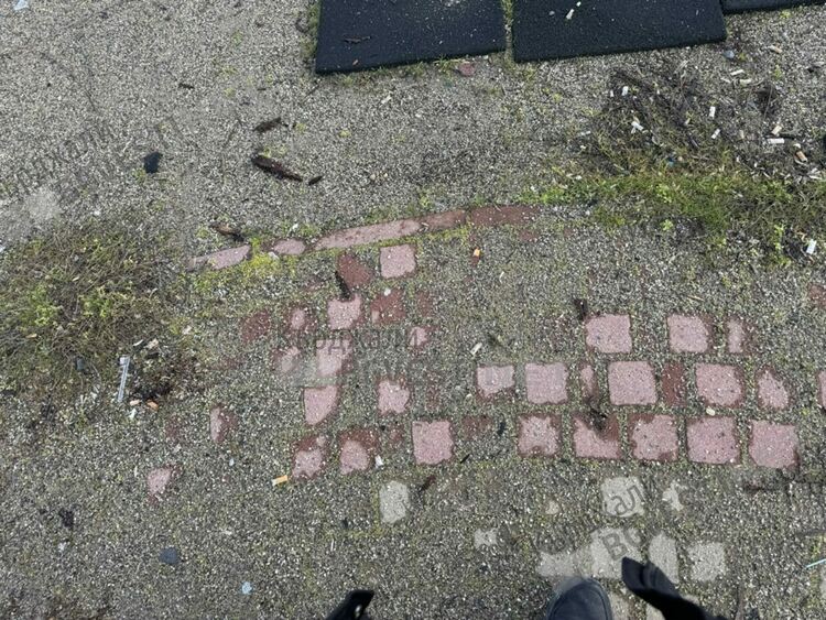 Да България загрижени за вандалщината в парк &bdquo;Арпезос Север&ldquo;,отправят питане до Общината