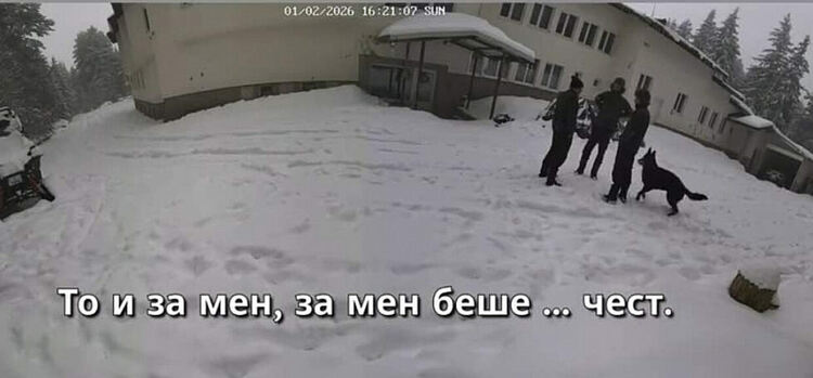 Не ви прави чест: Къде са кадрите от смъртта на &bdquo;Петрохан&ldquo; и кой проспа кемпера?